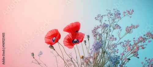 Composition of wildflowers ...