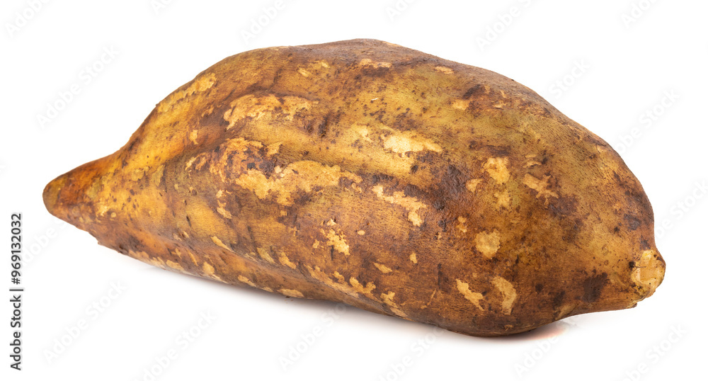 Yacon roots isolated on a white background Yacon roots isolated on a white background