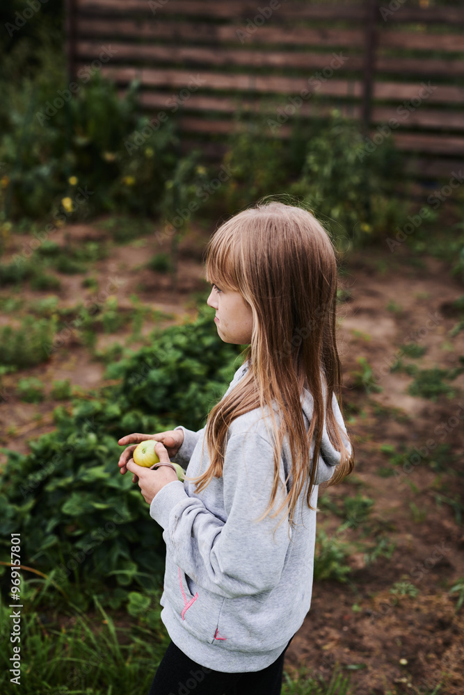 A little girl harvesting in her garden A little girl harvesting in her garden