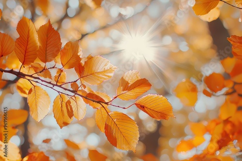 Golden autumn leaves illuminated by sunlight in a peaceful forest, Ai Generation