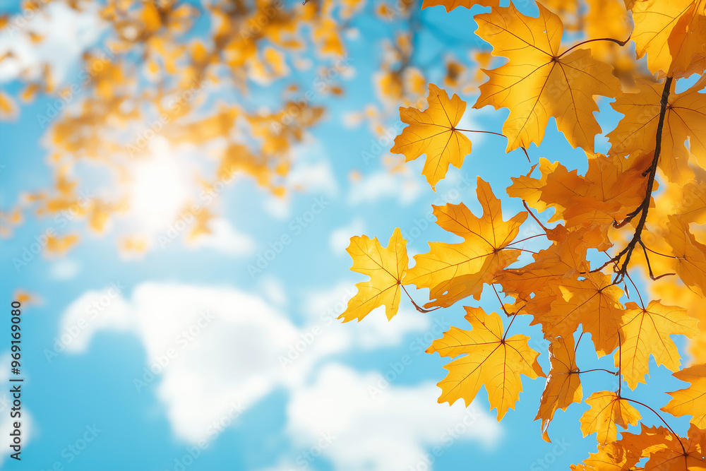 Autumn background with blurred autumn leaves and sun rays on a blue sky Autumn background with blurred autumn leaves and sun rays on a blue sky