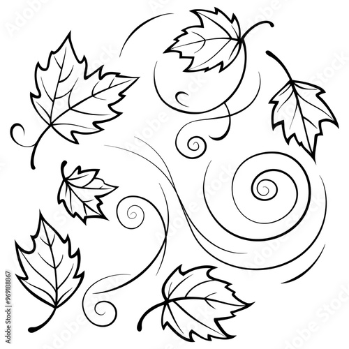 Autumn leaf fall black vector illustration. Leaves and wind drawing. Leaf whirlwind doodle. Leaves are flying black and white image isolated on white background.
