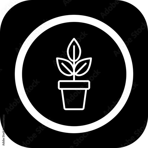 Indoor Plants Vector Icon Design