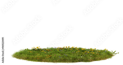 Green Grass Patch Isolated on Transparent Background, Nature Texture