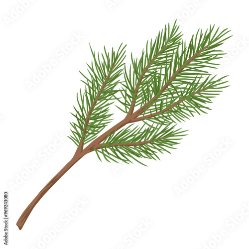 Conifer sprig vintage element colorful