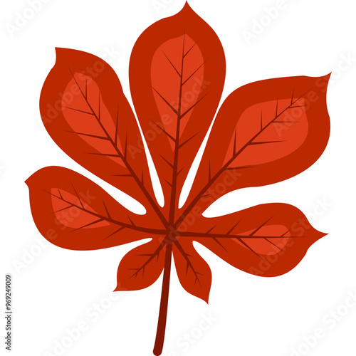 Autumn Leaf Illustration
