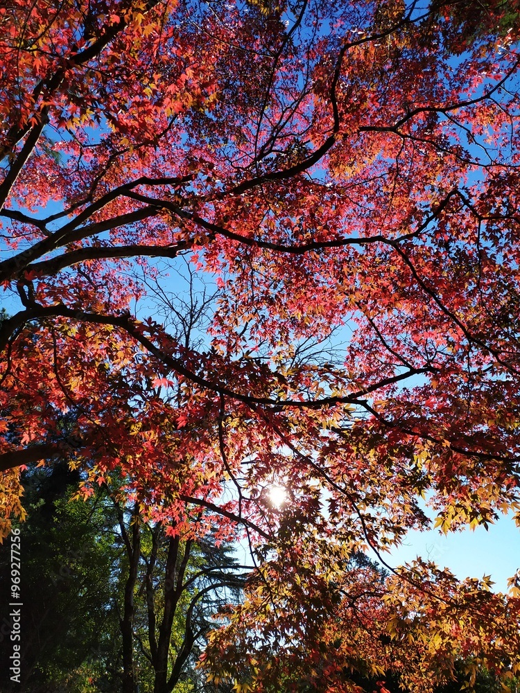 autumn in the park autumn in the park