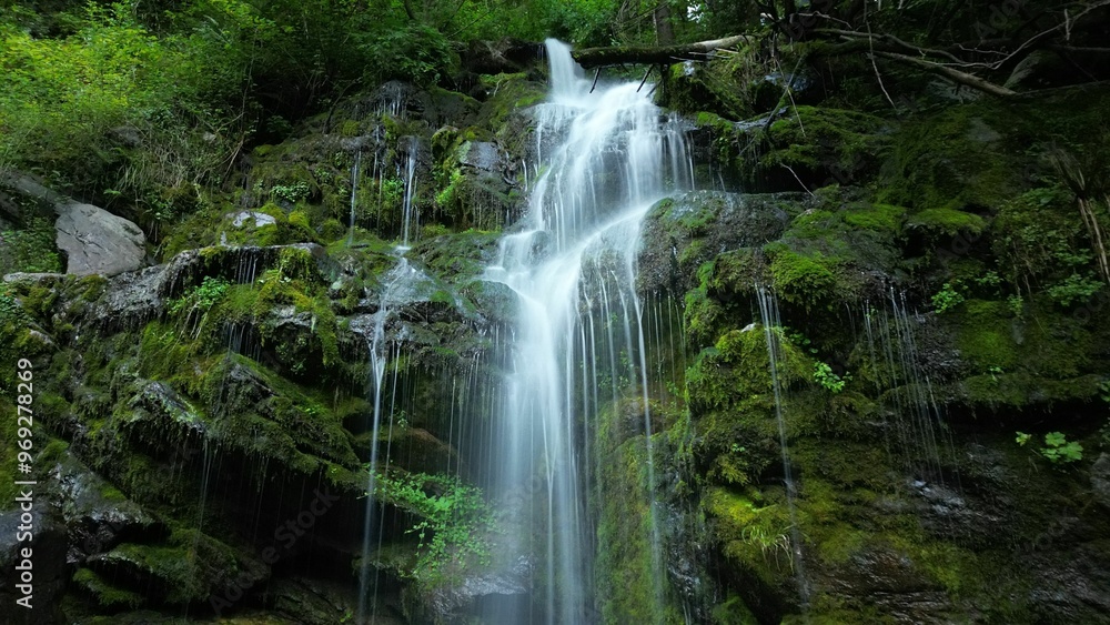 Serene waterfall in lush green forest