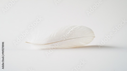 A delicate white feather resting on a light background, showcasing its softness and texture.