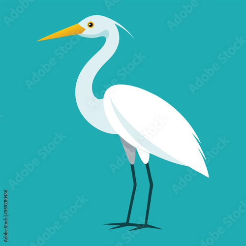 Great egret Bird vector illustration. herons vector illustration. heron with water white.