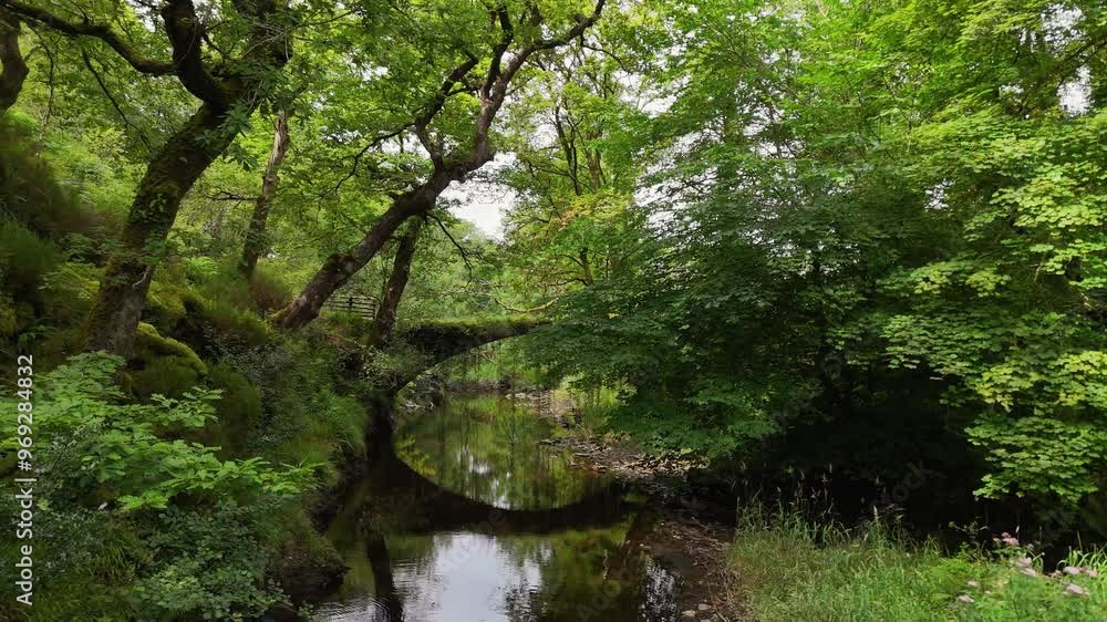 Ivy Bridge in Wales spans the Afon Prysor, blending with lush surroundings and forest trails. Ivy Bridge in Wales spans the Afon Prysor, blending with lush surroundings and forest trails.