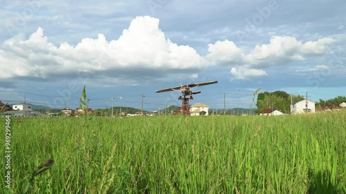 Rice Fields in Higashihiroshima City, Hiroshima Prefecture, Japan. Japanese Rice is ripening all over the fields in Hiroshima Prefecture, Japan.
