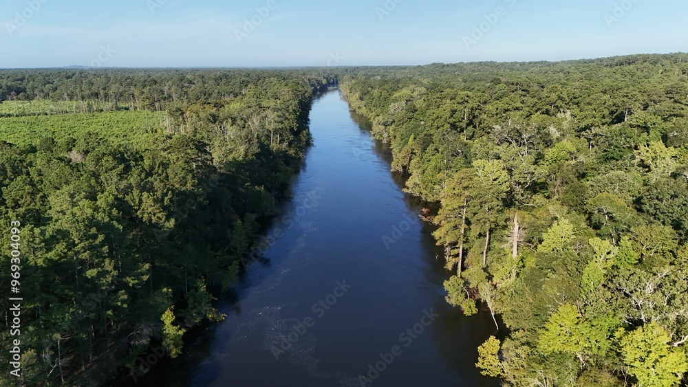 Aerial view of a river flowing through a dense forest. Aerial view of a river flowing through a dense forest.