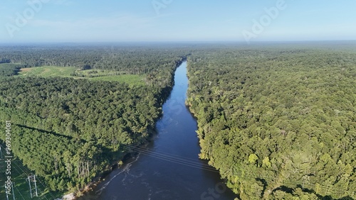 Aerial view of a river through a forest on a clear day.