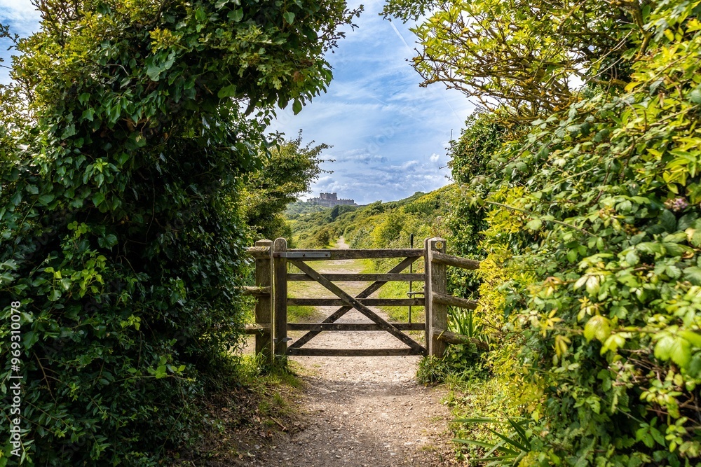 Scenic path with wooden gate and distant castle Scenic path with wooden gate and distant castle