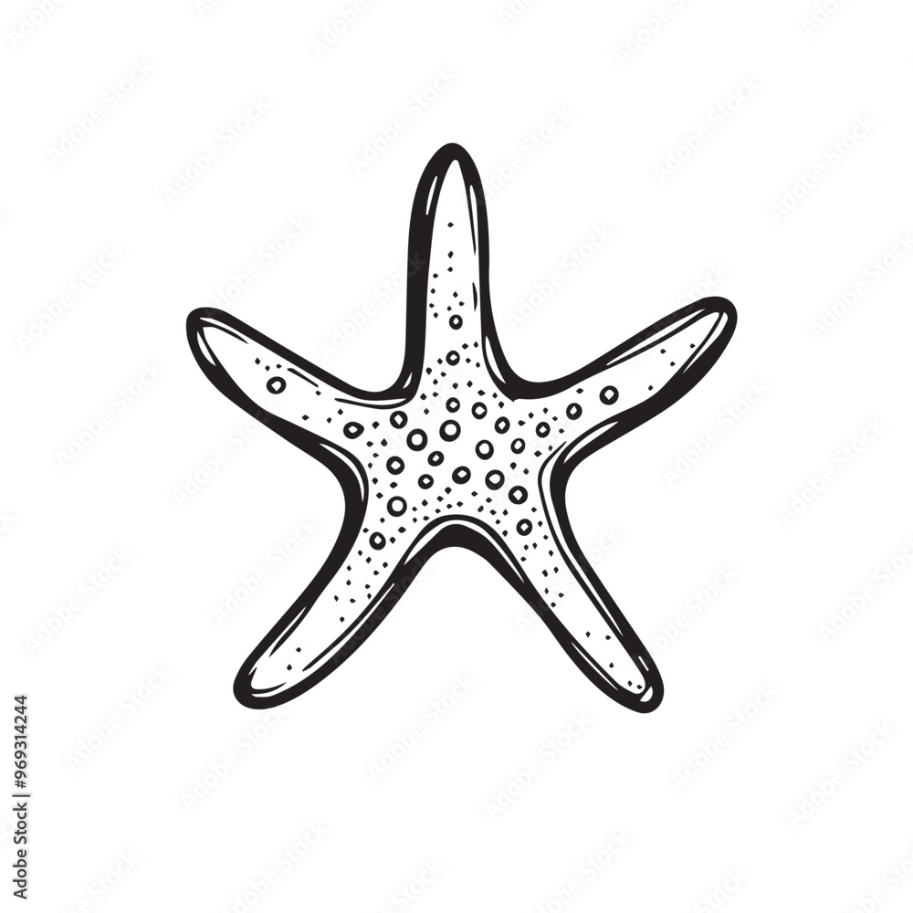 Starfish in cartoon, doodle style . Image for t-shirt, web, mobile apps and ui. Isolated 2d vector illustration in logo, icon, sketch style, Eps 10, black and white. AI Generative Starfish in cartoon, doodle style . Image for t-shirt, web, mobile apps and ui. Isolated 2d vector illustration in logo, icon, sketch style, Eps 10, black and white. AI Generative