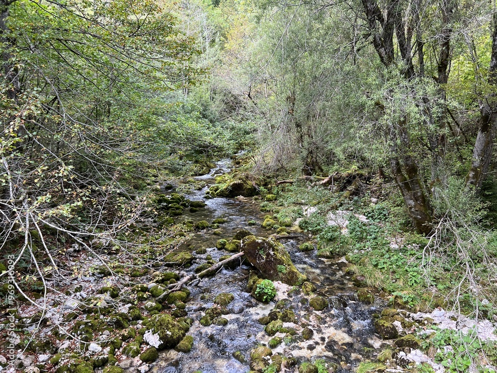 Source Glijun or the source of the stream Gljun (Bovec, Slovenia) - Die Quelle des Baches Glijun oder die Quelle Gljun (Bovec, Slowenien) - Izvir Glijuna or Izvor Gljuna (Slovenija) Source Glijun or the source of the stream Gljun (Bovec, Slovenia) - Die Quelle des Baches Glijun oder die Quelle Gljun (Bovec, Slowenien) - Izvir Glijuna or Izvor Gljuna (Slovenija)