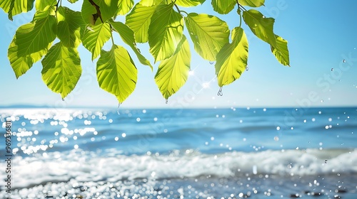 Peaceful Ocean View with Green Leaves on a Sunny Day