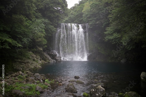 Serene waterfall in lush forest