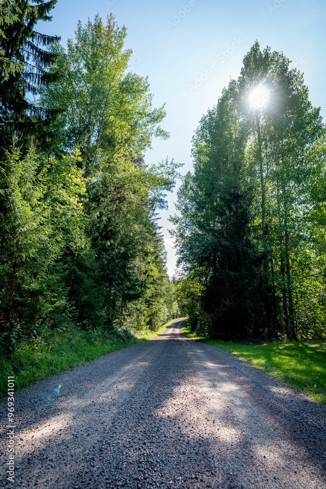 Fototapeta premium Serene gravel road lined with tall green trees under a clear blue sky.