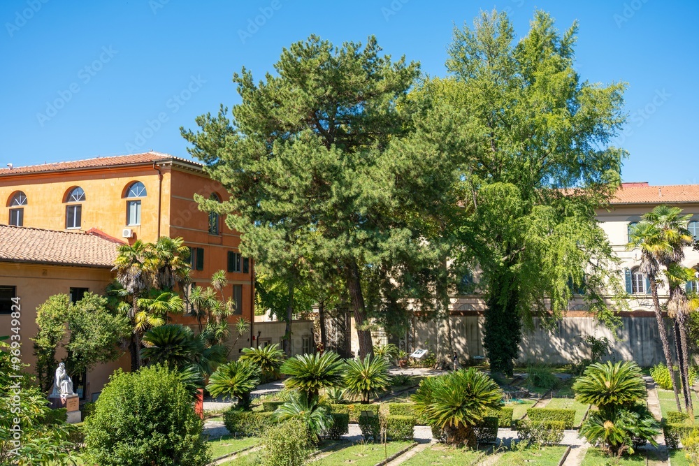 Lush garden with palm trees and buildings Lush garden with palm trees and buildings
