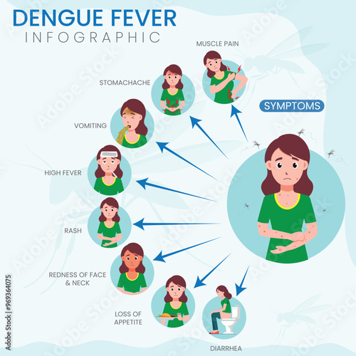 Key Symptoms of Dengue Fever A Visual Guide to Fever, Rash, and Severe Joint Pain