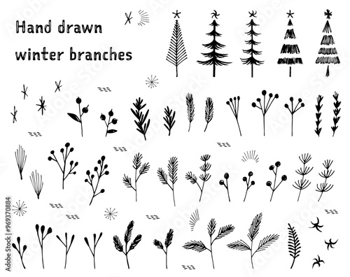 手描きの冬の枝のイラストセット