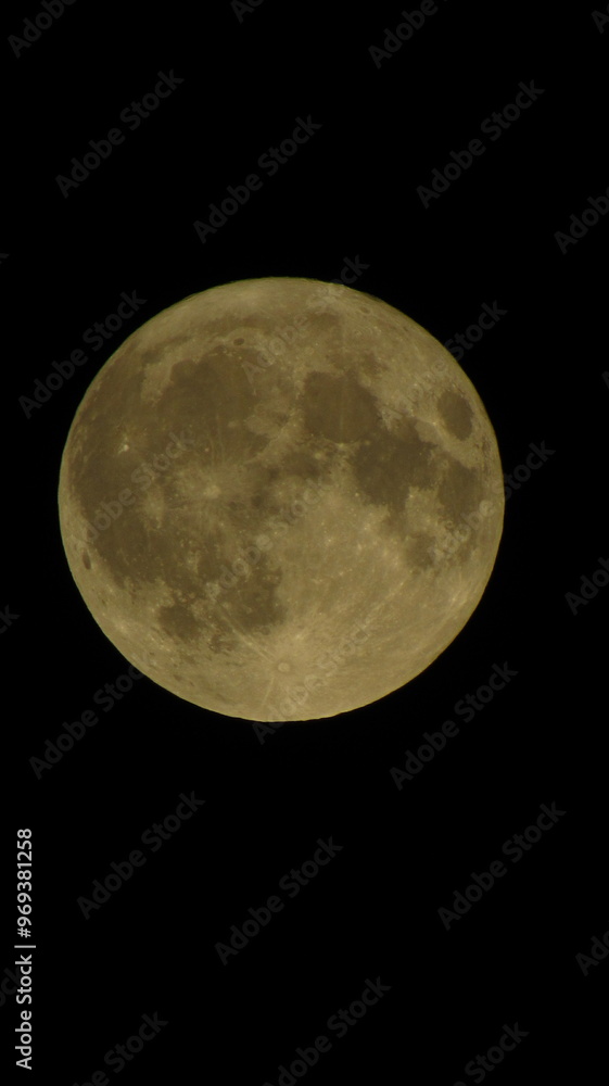 Obraz premium Full Moon Against Dark Night Sky