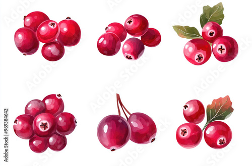 A Set of Cranberries in Different Clusters Bright Red for a Fresh and Festive Arrangement