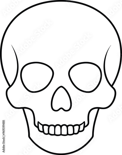 Skull outline vector art illustration, black and white skull icon closeup isolated.