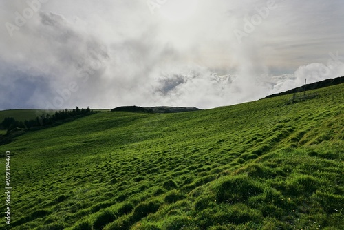 Green hillside under a cloudy sky, Azores Sao Miguel Island Portugal
