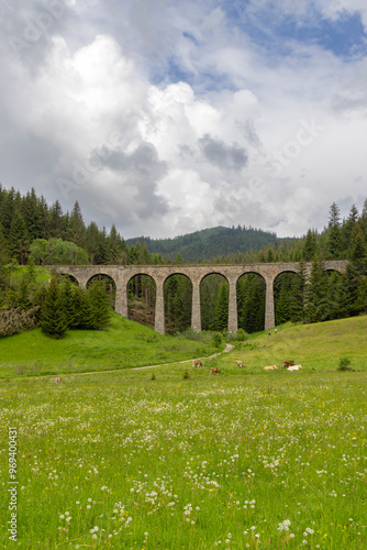 Railway bridge Chramossky viadukt near Telgart, Horehronie, Slovakia photo