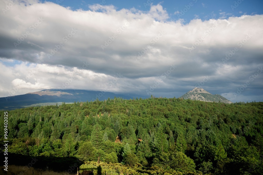 Obraz premium Scenic forest and mountain landscape under a cloudy sky.