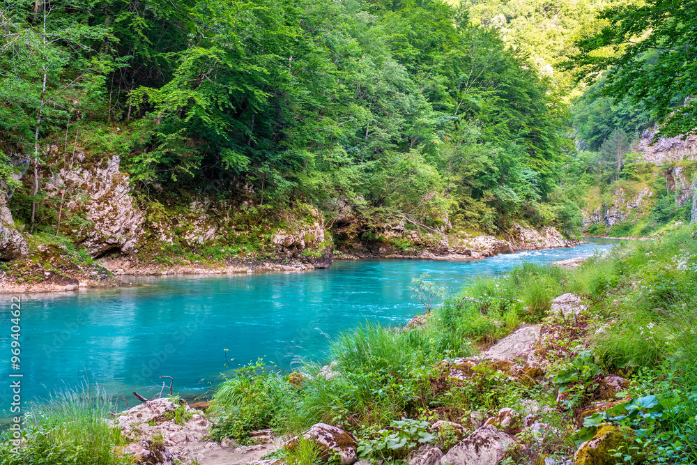 Tara River view. Montenegro