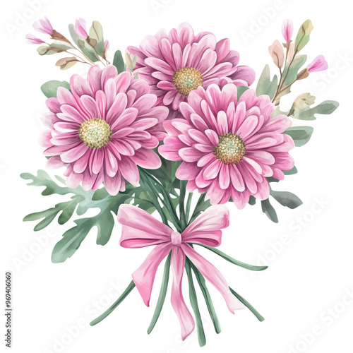 Pink chrysanthemum bouquet, watercolor, transparent background illustration