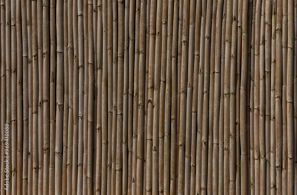 Dry bamboo texture Bamboo stick background Dry bamboo texture Bamboo stick background