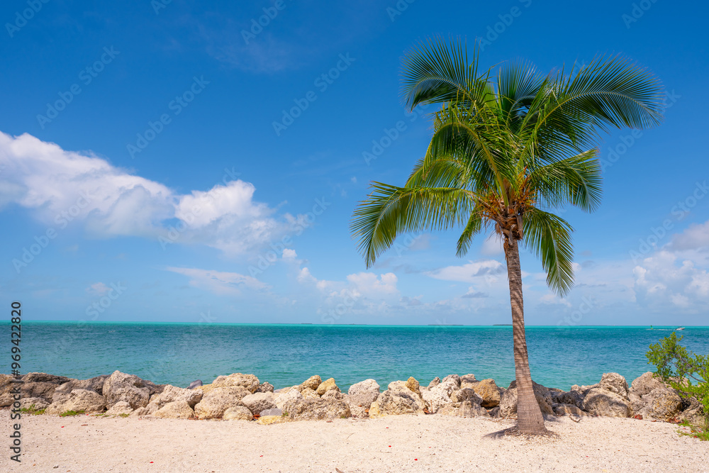 Fototapeta premium Tropical beach paradise. Caribbean island with palm trees. Blue water. White sand and ocean horizon. Perfect summer vacation scenery in Key West, Florida USA. Exotic nature. Beautiful seascape