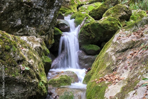 Serene waterfall in a lush forest