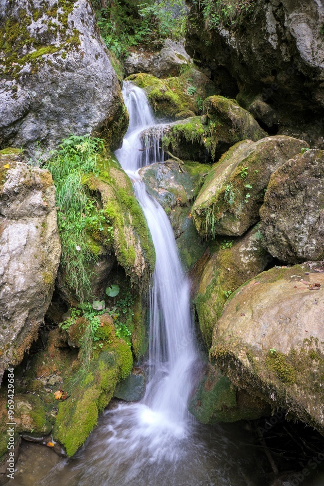 Serene waterfall in a lush forest Serene waterfall in a lush forest