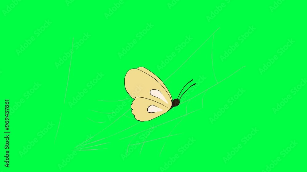 2D animated butterfly character that is stuck in spider's web in green ...