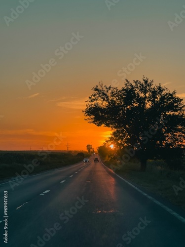 Rural road at sunset with silhouetted trees