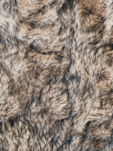 Detailed texture of brown and black fur.