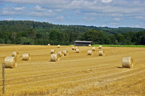 Getreideernte auf der Schwäbischen Alb