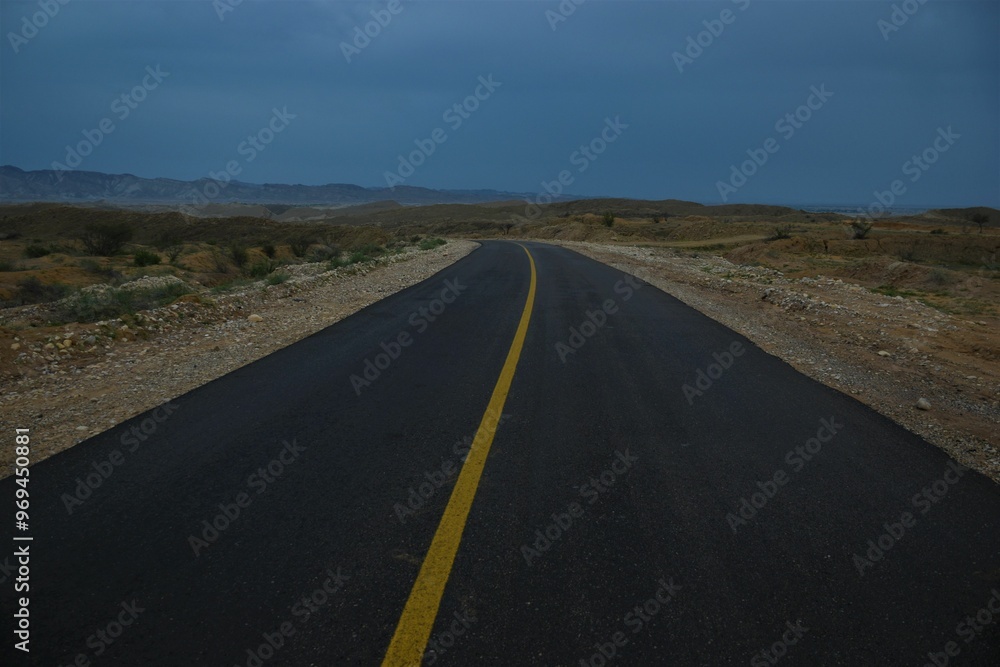 Desert Road in Spring: Green Shrubs Transforming the Arid Landscape Desert Road in Spring: Green Shrubs Transforming the Arid Landscape