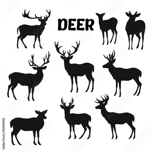 Deer Black and white silhouette vector
