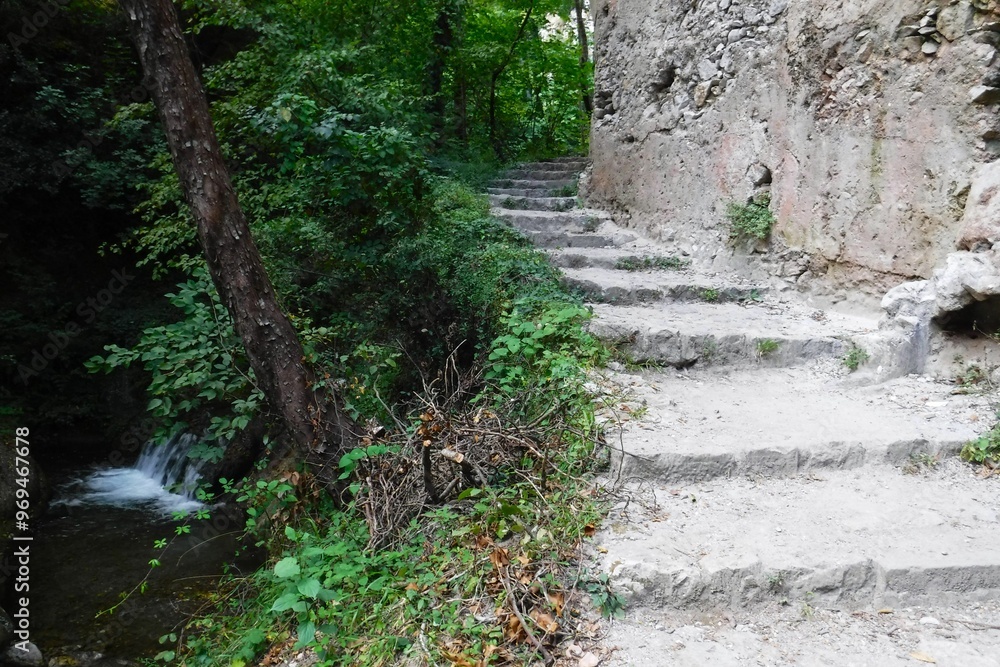 Stone steps in a forested path with a stream Stone steps in a forested path with a stream