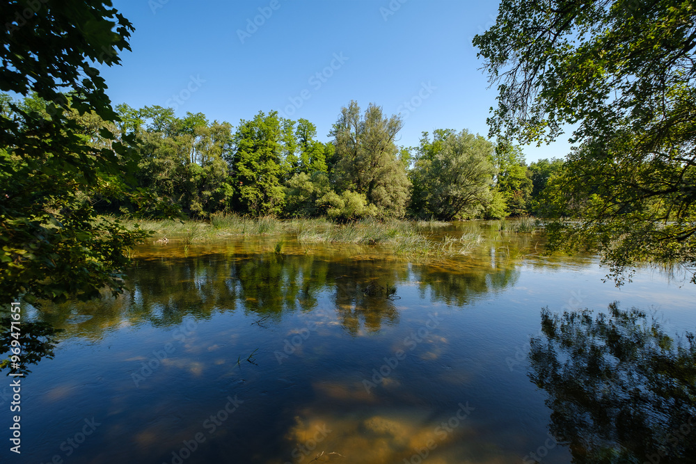Green Krka river in Slovenia Green Krka river in Slovenia