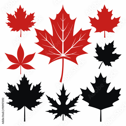 Autumn maple leaf, maple leaf silhouette vector