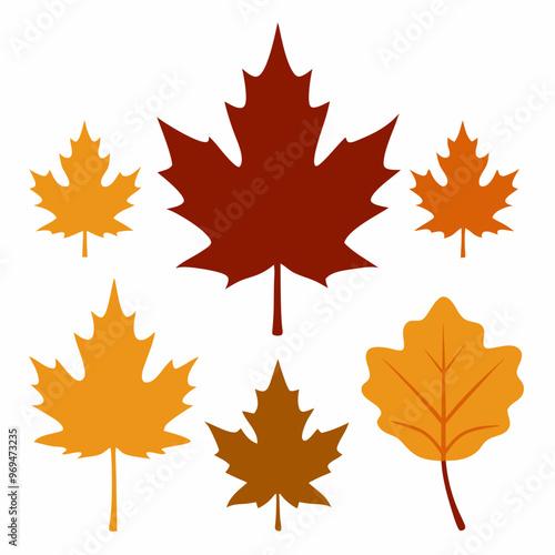 Autumn maple leaf, maple leaf silhouette vector