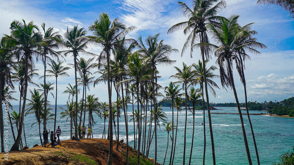 Coconut tree hill in Mirissa, Sri Lanka Coconut tree hill in Mirissa, Sri Lanka